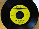 Sands Of Time, Come Back Little Girl AWESOME 60's Garage Punk 45 on Stearly NM