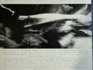Soundgarden fopp lp1988 on sub pop