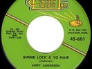 KILLER ROCKABILLY ROCKER - ANDY ANDERSON - GIMME LOCK A YO HAIR - RARE 45rpm