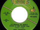 KILLER ROCKABILLY ROCKER - ANDY ANDERSON - I'M GONNA SIT RIGHT DOWN - RARE 45rpm