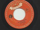 THE BEATLES   ULTRA  RARE    SOUTH AFRICA    45  CRY FOR A SHADOW