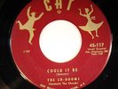 HEAR Sh-Booms (Chords) 45 Could it Be/Pretty Wild CAT 117 doo wop R&B RARE VG+
