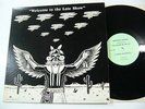 EAGLES - WELCOME TO THE LATE SHOW (RARE LP) 1976 LIVE not TMOQ