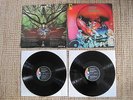 AMON DÜÜL II   TANZ DER LEMMINGE   ORIGINAL FIRST PRESS   KRAUTROCK
