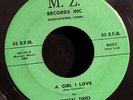 Crystal Tones-Girl I Love-Debra-Lee-MZ Recs-Middletown, CT-Private-RARE Doo Wop