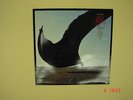 Pink Floyd Maxi Single High Hopes (blue Vinyl)