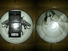 Within Temptation Rare Picture EP 7
