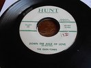 Quin-Tones 60s POP ROCK 45 Down the Aisle of Love / Please Dear