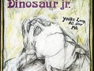 RARE Dinosaur Jr. - You're Living All Over Me Green Vinyl X/500 bug green where