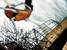 Circa Survive - Juturna - ORANGE vinyl record lp oop limited edition /1000