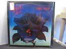 THIN LIZZY BLACK ROSE STILL IN SHRINK 1979 VG+ TO VG++ HEAR IT
