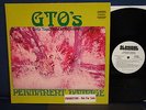 The GTO's - Permanent Damage - 1969 - Straight  Label  - Stereo(WL PROMO)