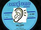 THE CABLES -