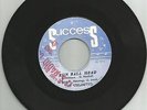 THE UNLIMITED / RUN BALL HEAD / RAGGAE ALL STAR / 7'' / EX