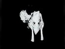 Sigur Ros - Kveikur Deluxe Vinyl LP Set (2LP + 10