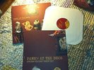 Panic at the Disco A Fever You Can't Sweat Out LP record