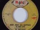 Northern Soul 45 RINGLEADERS Baby, What Has Happened To Our Love M-PAC HEAR