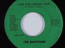 70s Soul 45 EGYPTIANS Come & Take My Love HARD TIMES HEAR