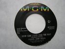Carol And Gerri 45 Rare MGM Black Label Heartache/Find The Way (Northern Soul)