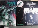 LP Made in England - PARADISE LOST - LOST PARADISE  -  in TOP  Zustand