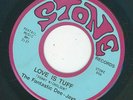 PA Garage - Fantastic Dee Jays - Love Is Tuff / Just A Boy  {Stone}  VG++ / M-