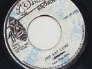'76 CONGO REGGAE 45 TWO PLUS ONE (TWIN ROOTS) JAH SAY LOVE ?