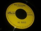 THE BEATLES-WHAT YOU'RE DOING-RARE COSTA RICA SINGLE -MINT