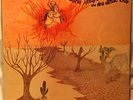 EDUARDO ARAUJO & SILVINHA SOU FILHO DESSE CHAO 1976 BRAZIL LP SOUL FUNK BREAKS