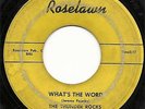 THE THUNDER ROCKS RARE DETROIT SURF ROCKABILLY INSTRO ON ROSELAWN WHATS THE WORD