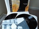 THE DIVINE COMEDY (NEIL HANNON) Vinyl 2LP A Secret History (1999)
