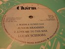 Junior Brammer Warm & Sunny Day Rare Killer Digi 12