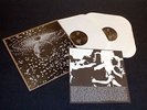 LP NEIL YOUNG und PEARL JAM , MIRROR BALL , Vinyl Doppelalbum, Audiophil, 1A