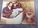 The Mama's and the Papa's   If You Can't Believe Your Eyes  Toilet Cover