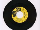 Mickey FINN garden of mind 45 monster MOD psych FREAKBEAT garage FUZZ hear ???