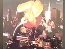 Pinguin Der Grosse Rote Vogel Zebra 1st Press Mint With Rare Photo Insert