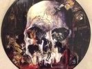 slayer  south of heaven picture disc.   Metallica  Iron Maiden