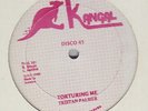 ** TRISTON PALMER - TORTURING ME b/w SCREWDRIVER - DANCEHALL FULL UP 12