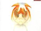 Aha Shake Heartbreak Kings Of Leon vinyl LP album record USA CGO026 SONY BMG