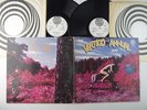 Vertigo Annual 1970,May Blitz, Affinity,Black Sabbath,Gracious,Cressida,2XLP