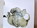 COIL Ape Of Naples/New Backwards 4LP TEST PRESSING Box Set LE 12 Etched Reverse