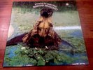 Mississippi Joe Callicott Presenting The Country Blues Blue Horizon LP 1969 N/M