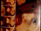 VAN MORRISON 