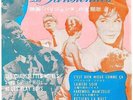 CHAUSSETTES NOIRES...PLAYBOYS. LES PARISIENNES. Flexidisc 33 tours 7