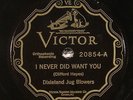 Dixieland Jug Blowers, Victor 20854, EE+