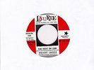 Northern Soul 45 Hoagy Lands 