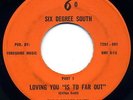 THE 6 DEGREE SOUTH 45: Loving You 