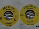 047. The Jammers - Teel The Pain / Pain Dub RARE GEM ??