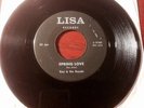 Roy & The Royals 45 on LISA label. Rare Rockabilly/Guitar Instrumental