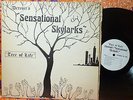 The Sensational Skylarks Tree Of Life Detroit RARE Gospel SOUL Funk Private LP