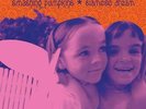 Siamese Dream [2 LP] - Smashing Pumpkins EMI MKTG